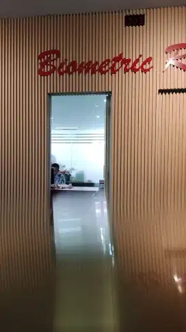 VISA CONSULTANT