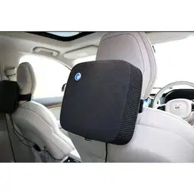 Blueair p2i car