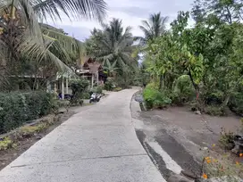 INVESTASI TANAH PEKARANGAN LT426 125JT DEKAT WISATA DOLAN DESO.JK13362