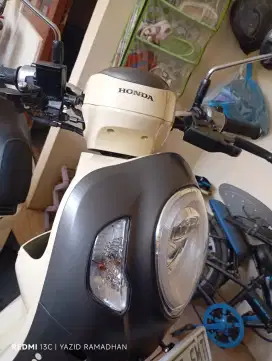 Honda scoopy fashion 2023