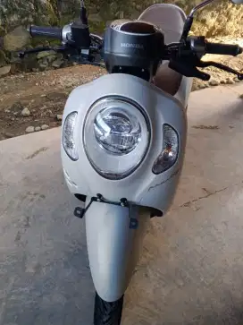 Honda Scoopy remot  terawat