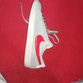 Nike SB low blazer