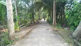 JUAL TANAH DI BOJONG PANJATAN KULONPROGO