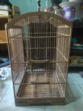 Kandang kotak no 1 di BSD