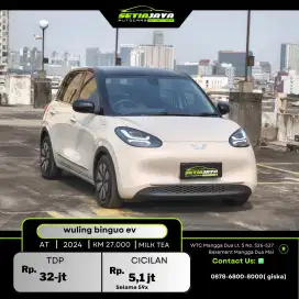 WULING BINGUO LISTRIK 2024 MILK TEA
