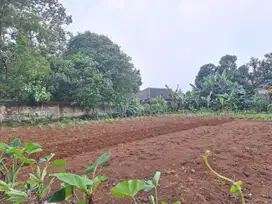 Tanah Siap Bangun 111 m² di Cinangka – Dekat Fasilitas Umum & SHM