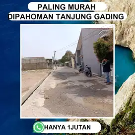 TANAH KEDAMAIAN KAWASAN PENDIDIKAN DEKAT SEKOLAH UNGGULAN
