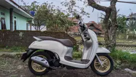 Motor Mewah Rasa Baru! Scoopy 2021 Putih Mulus Seperti Baru!