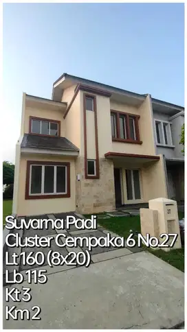 Disewakan Rumah Rapih 2 Lantai Siap Huni di Cempaka Suvarna Padi