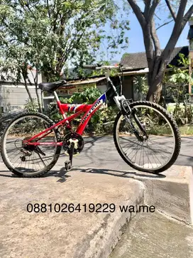 SEPEDA MTB 20 POLYGON