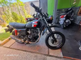 w 175 tr thn 2019