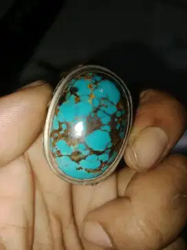 Persia biru nya merata