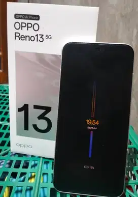 Jual Oppo Reno 13 5g