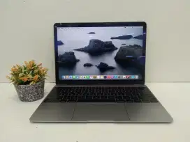 MacBook Retina 12-Inch 2015 Core M  1,2Ghz Ram 8GB 
Ssd 500GB
Cc 441