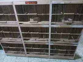 Box ternak kenari