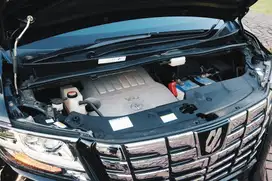 RARE Executive Lounge | +- 18rb KM Super Low Km | Alphard 2016 |