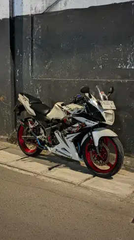 Ninja RR new 2013