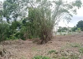 Cileungsi Punya Kavling SHM Mulai Rp 1,5 Juta/m² – Lokasi Strategis