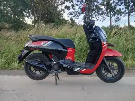 Honda Scoopy kodya