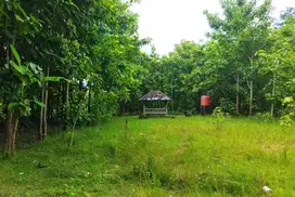 Jual tanah kavling pinggir jalan raya