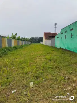 BU Tanah shm jl cangkringan purwomartani,utara Lemah Ledok Kalasan