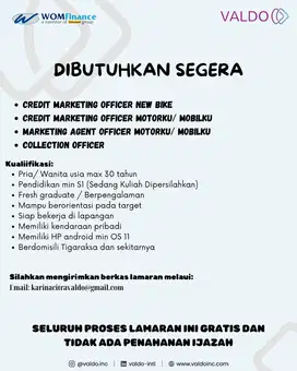 MARKETING& COLLECTION