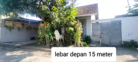 Rumah tinggal dan Tempat usaha