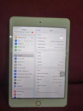 iPad mini 5 ibox