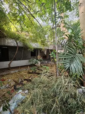 BISA BANGUN GEDUNG TINGGI !DIJUAL TANAH KAVLING  TANAH ABANG