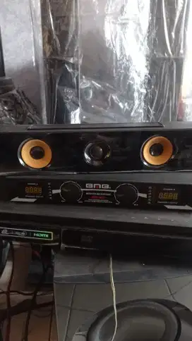 DIJUAL 1 SET SPEAKER & TV LG 45 INC