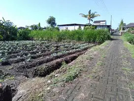 Tanah loaksi strategis dekat pondok arrohmah Dau