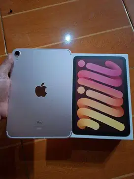Ipad mini 6 64gb wifi cellular