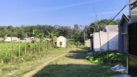 Tanah Kedungrejo Malang Murah Meriah