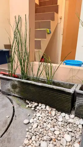 Pot batu panjang pot cor batu panjang