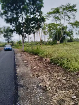 Dijual Tanah 60000 m2 SHM Kalianda, Lampung Selatan