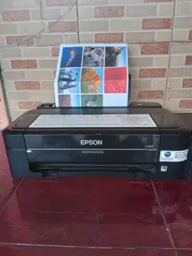 Printer epson l300