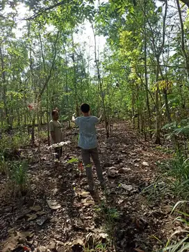 DI JUAL TANAH TEGALAN