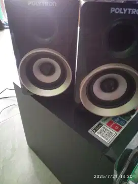 POLYTRON PMA9311