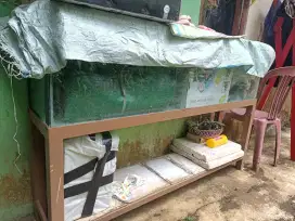 Akuarium tebal kaca 8mili panjangnya 150cm