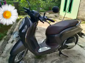 Scoopy Stylish tahun 2022
