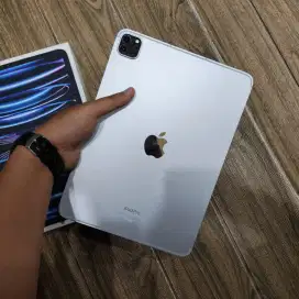 Apple ipad pro M2 11 inch 256gb