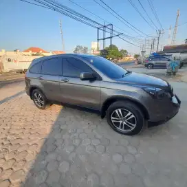 Crv buldog jos gandos