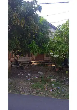 Rumah Kelurahan Cepokorejo Kecamatan Palang Kabupaten Tuban