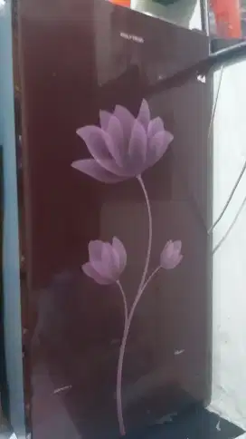 Kulkas 1 pintu polytron