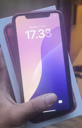 Iphone xr 64gb fulset