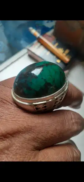 Bacan kura jumbo