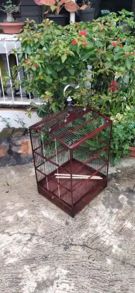 Sangkar burung jati sabuk 2