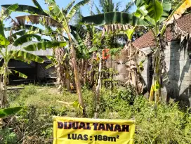Dijual Tanah Pekarangan