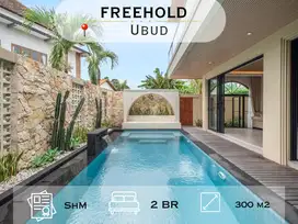 For Sale Brand New Villa Dikawasan Kemenuh Ubud Gianyar Bali