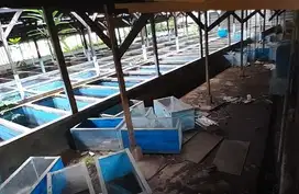 dijual tanah murah di jalan abdulrohim, bojongsari, depok